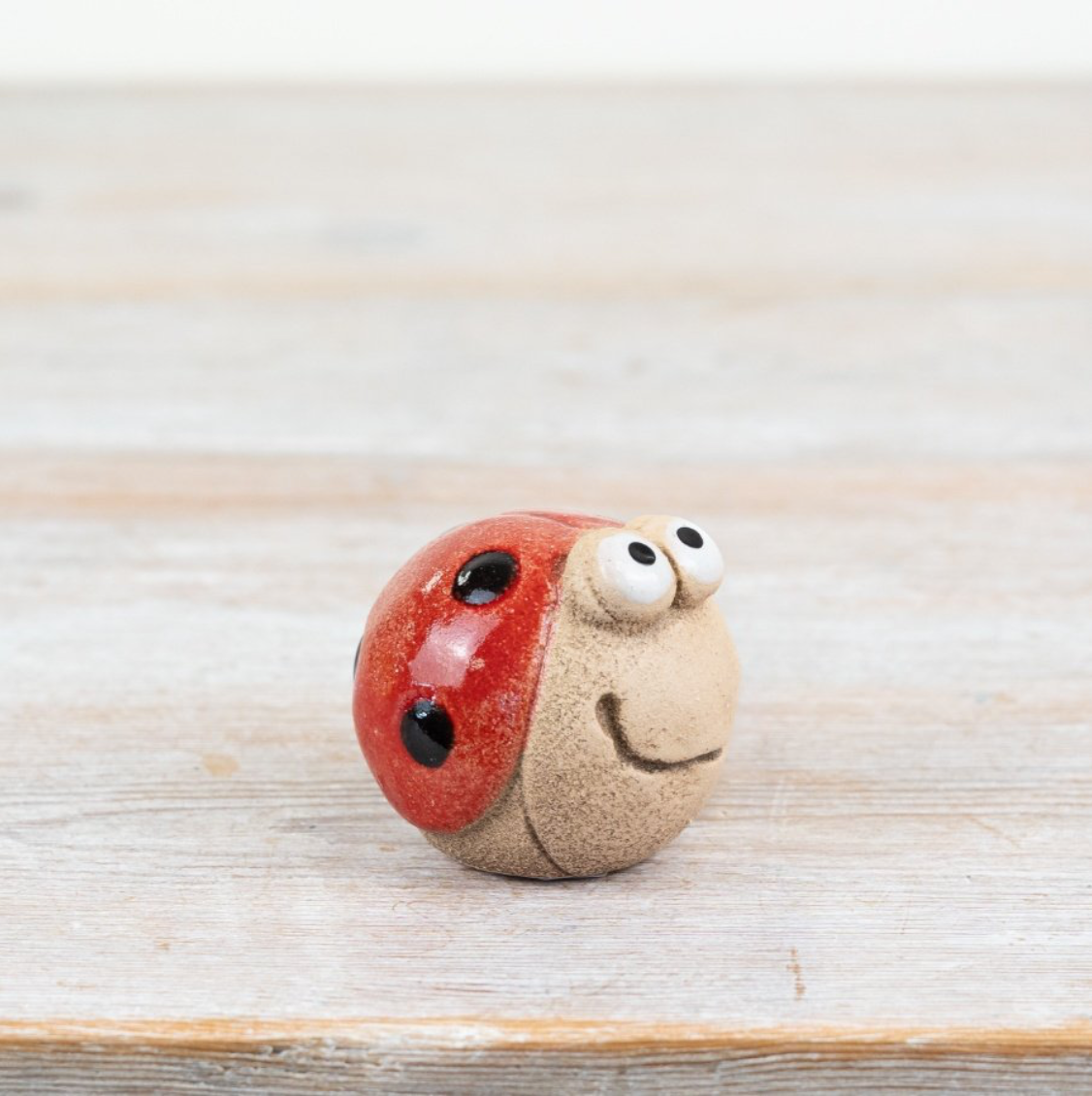 Ceramic Ladybird Ornament