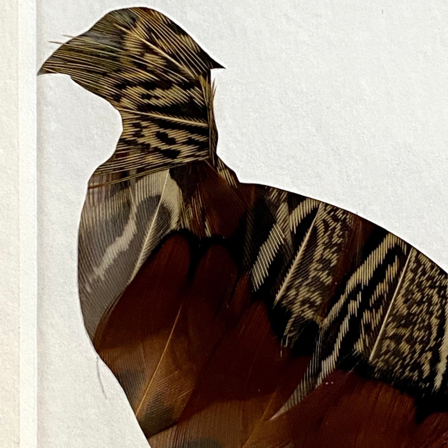 pheasant feather art