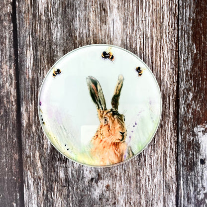 Hare & Bees Glass Coasters