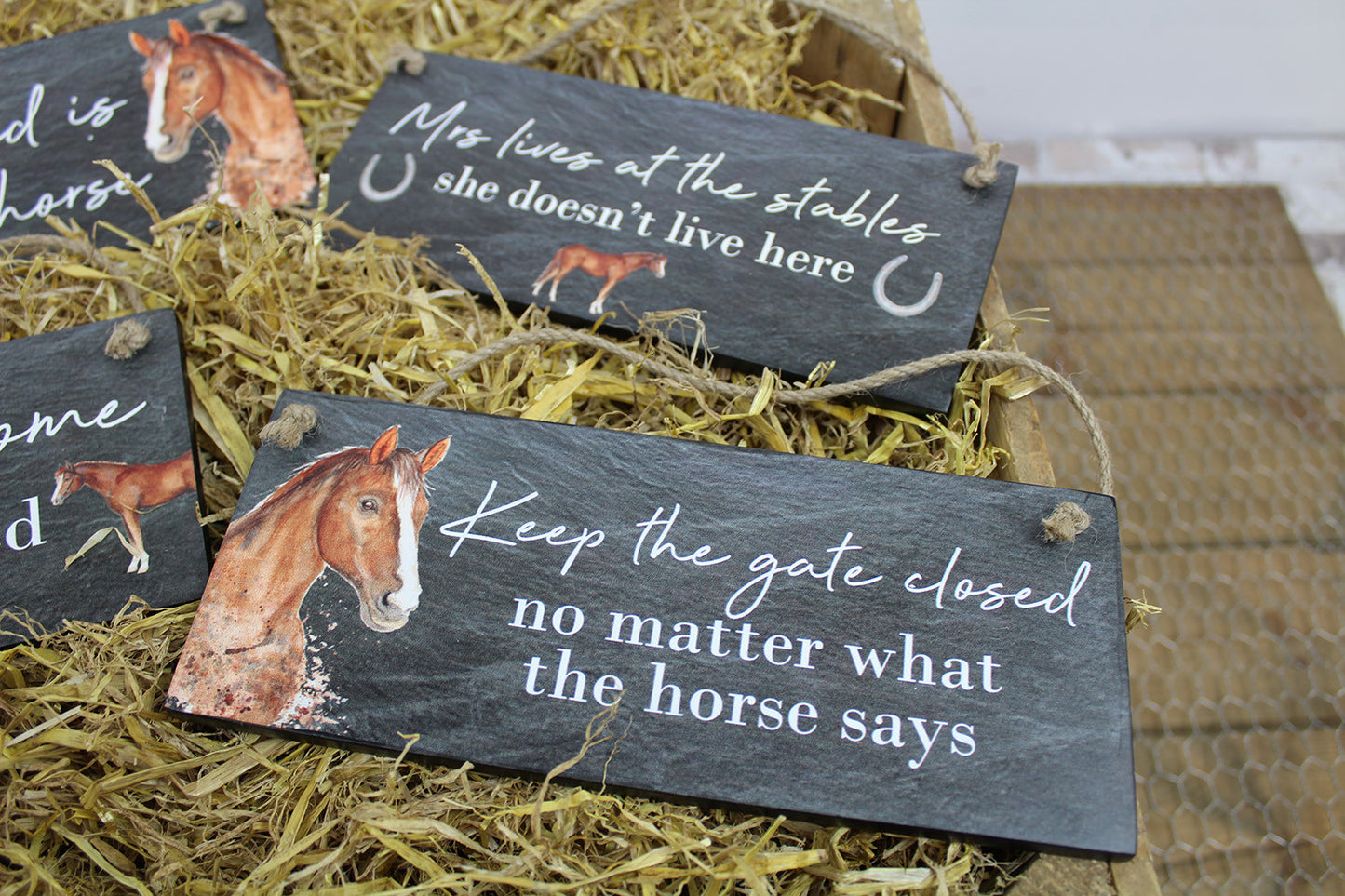 Hanging Horse Quote Wall Plaques